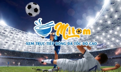 Mitom TV - Cập nhật link xem bóng đá đỉnh cao mới nhất 2024